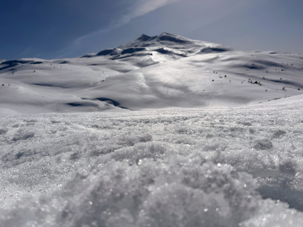 schneeschuhsafari_graubuenden_braembruesch_feldis__IMG_0566