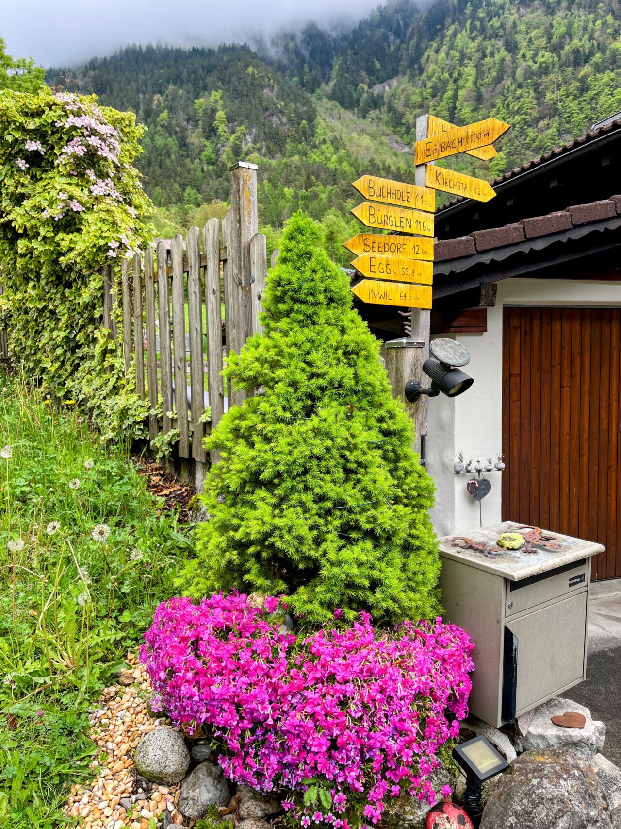 trans_swiss_trail_flüelen_amsteg_