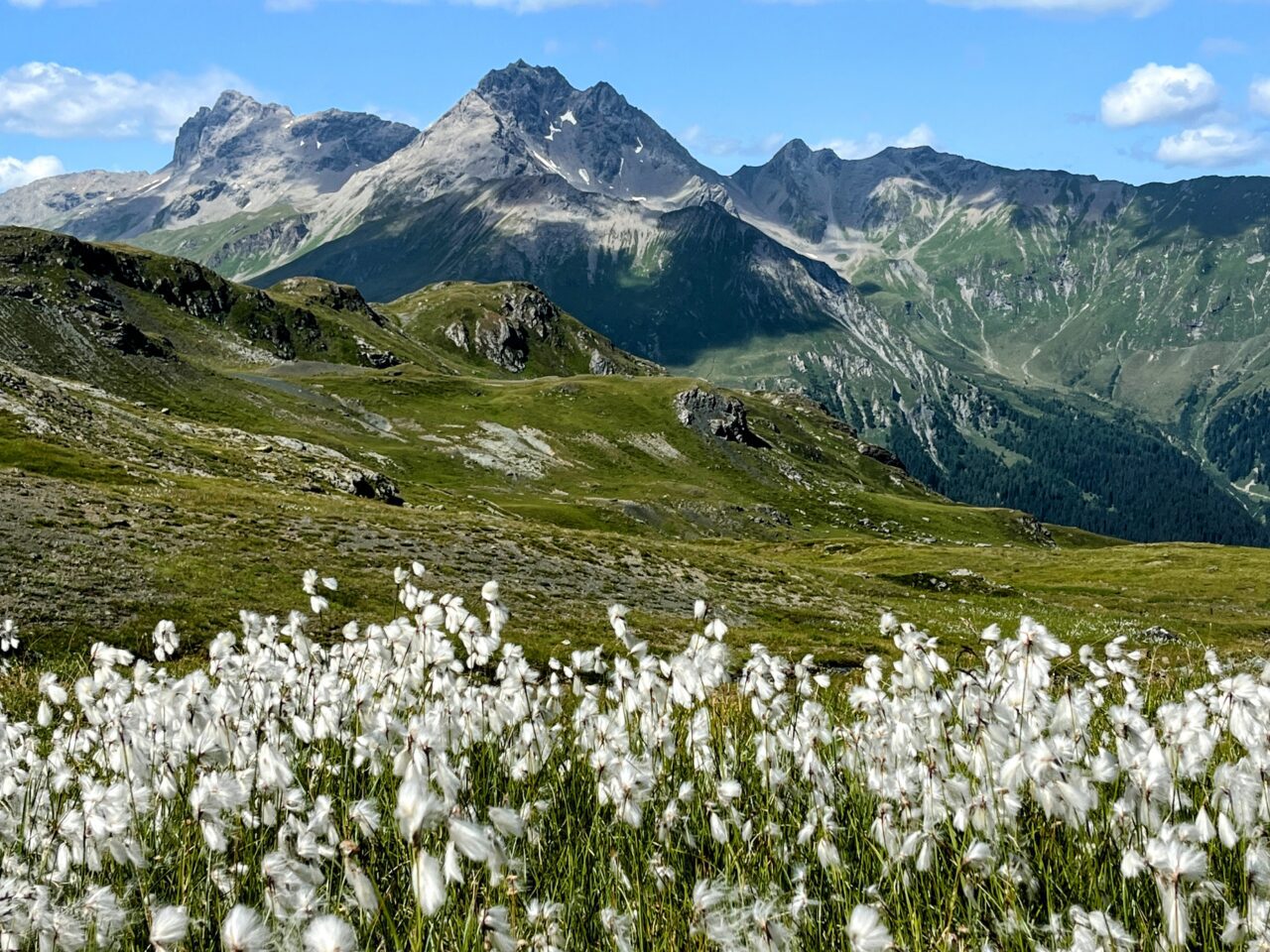 wanderung_parc_ela_trek_alp_flix_alp_d_err_