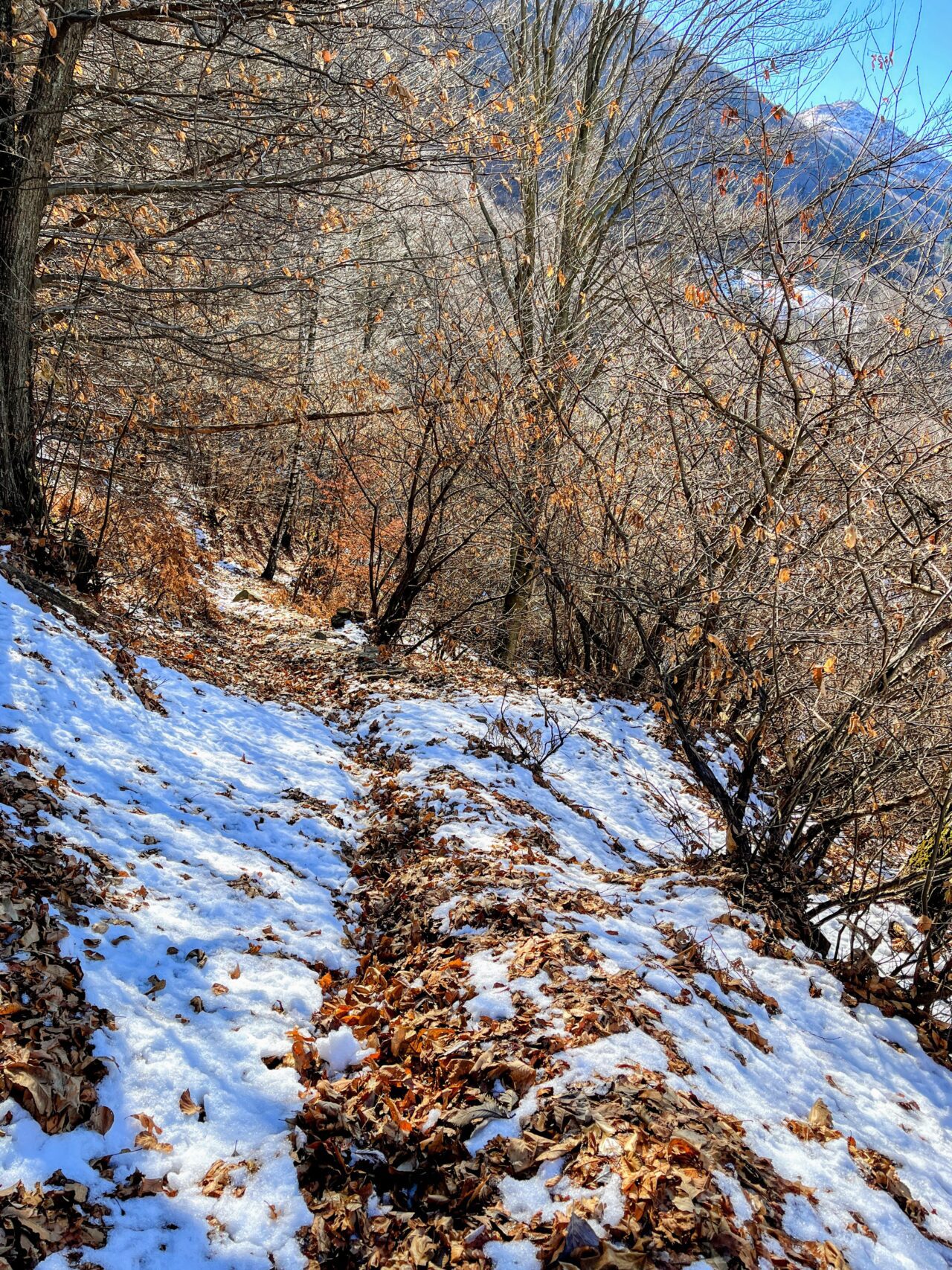 wanderung_transswiss_etappen_29_bis_32_bellinzona_mendrisio_