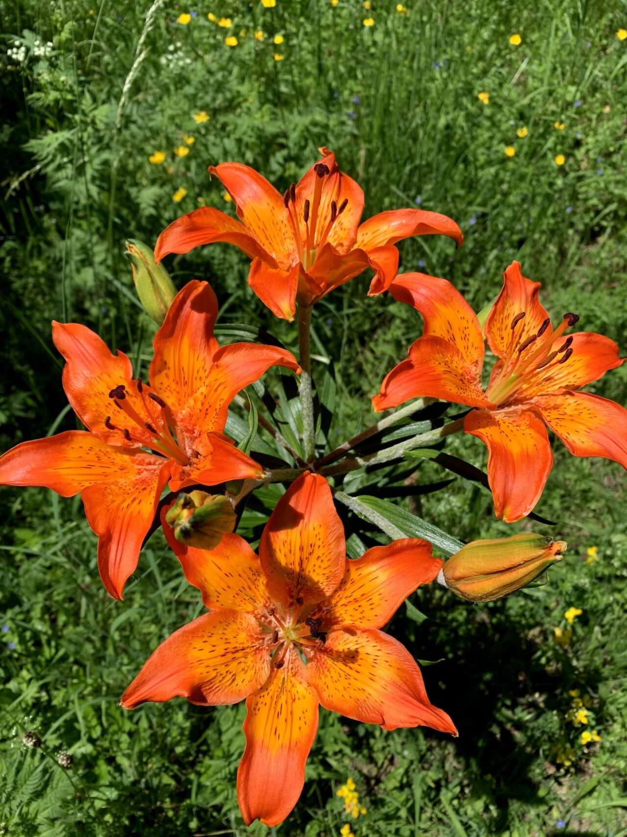wanderung_speer_