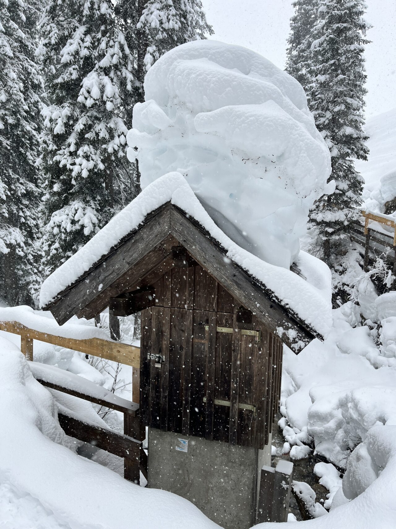 winterwanderung_lech_zug_vorderes_aelpele__IMG_4498