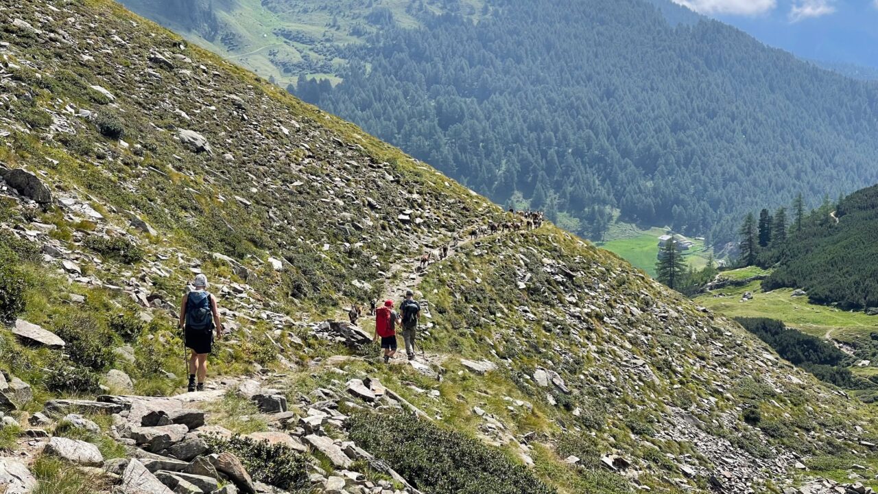 alpenueberquerung_mit_kindern_tag_8_timmelsjoch_pfandleralm_