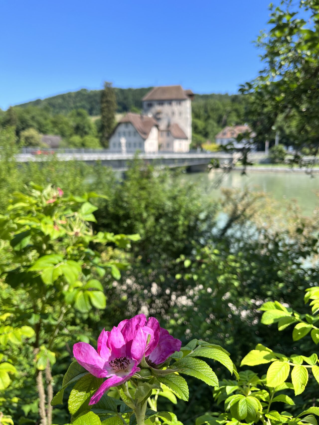 velotour_eglisau_laufenburg__IMG_5186