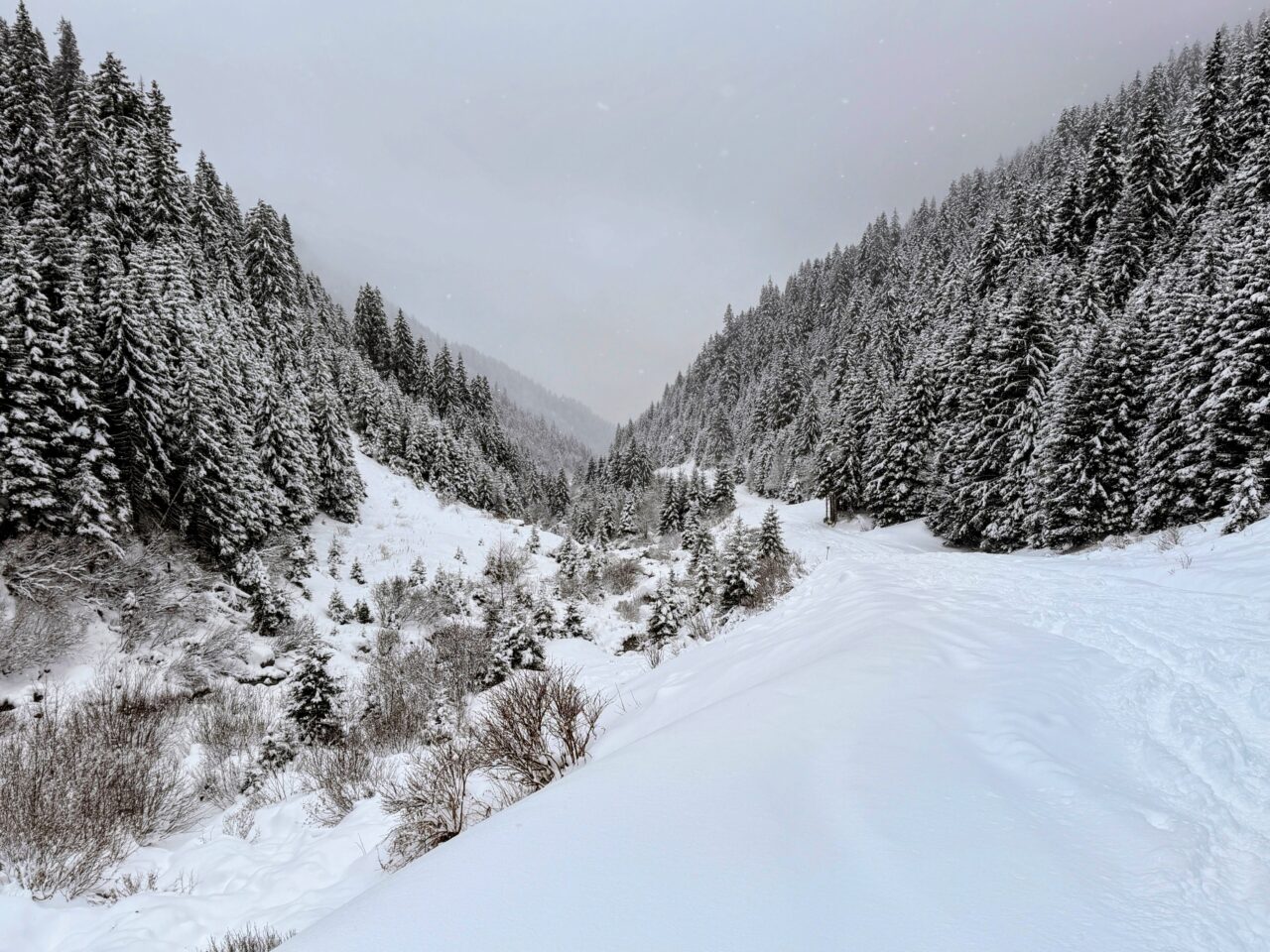 schneeschuhwanderung_klosters_schlappin__IMG_8889