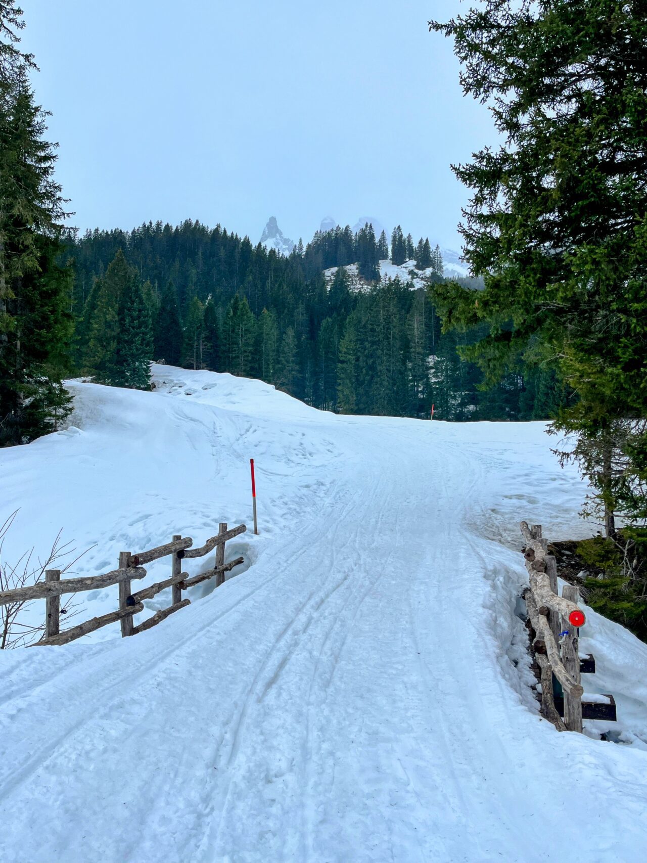winterwanderung_und_schlitteln_lindauer_huette__IMG_4452