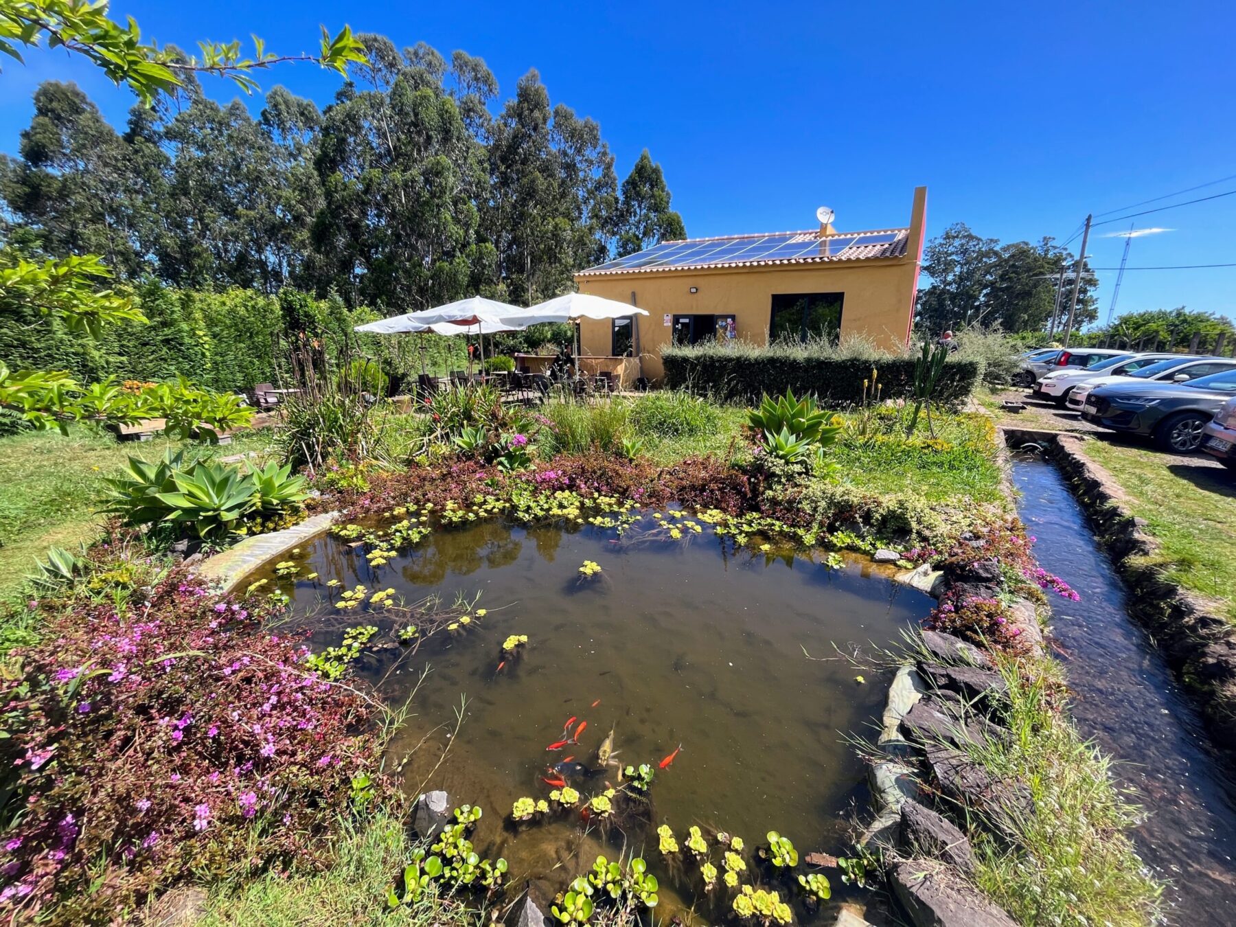 wanderung_levada_do_rei_pr18_