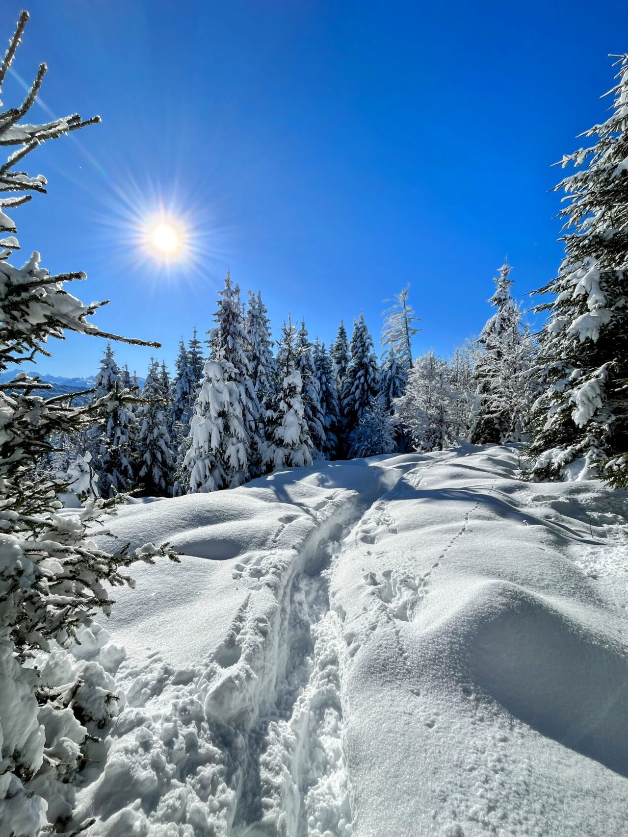 schneeschuhwanderung_rothenthurm_ahoren_biberbrugg__IMG_2375