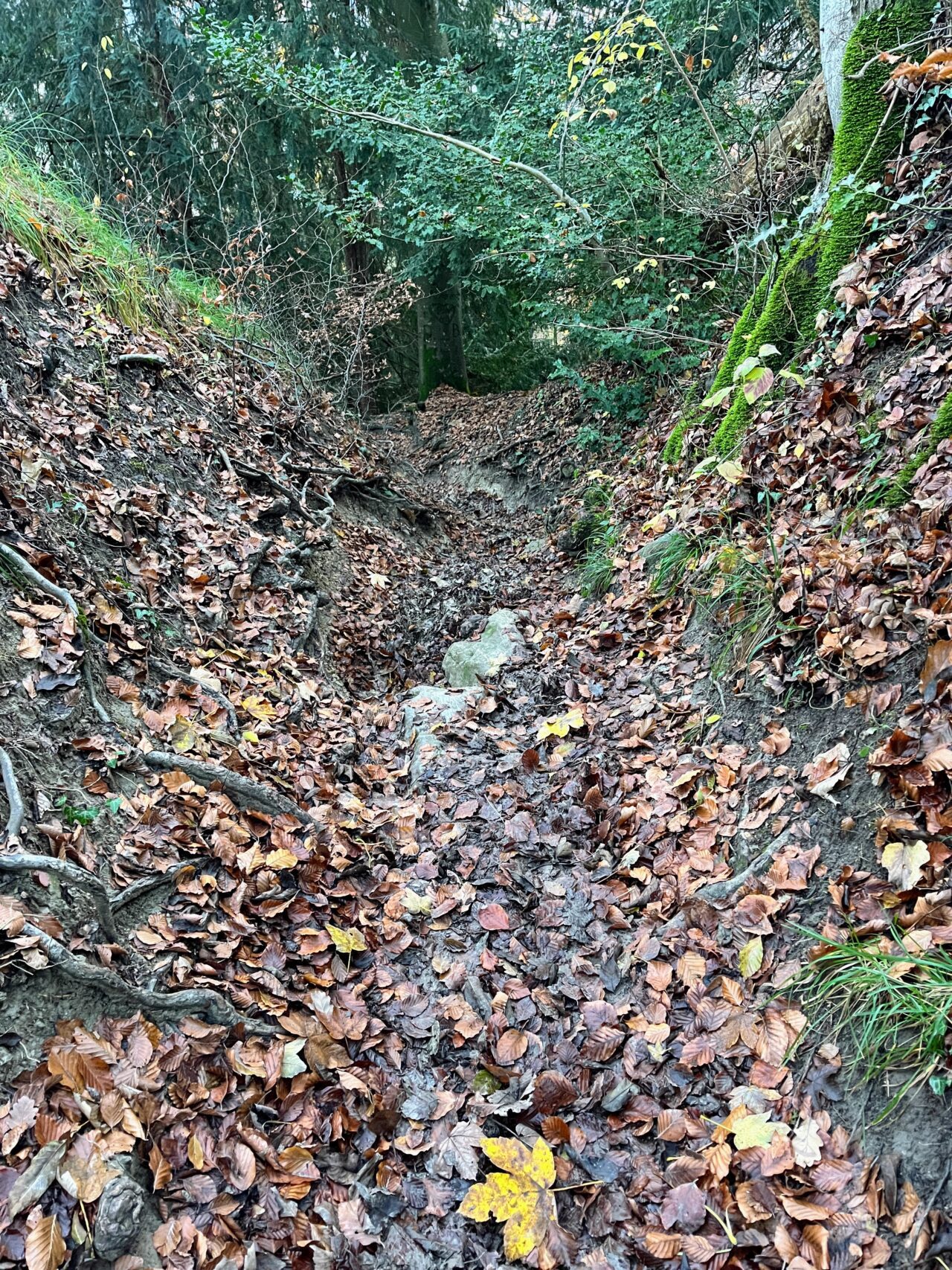 wanderung_teehuette_fallaetsche_