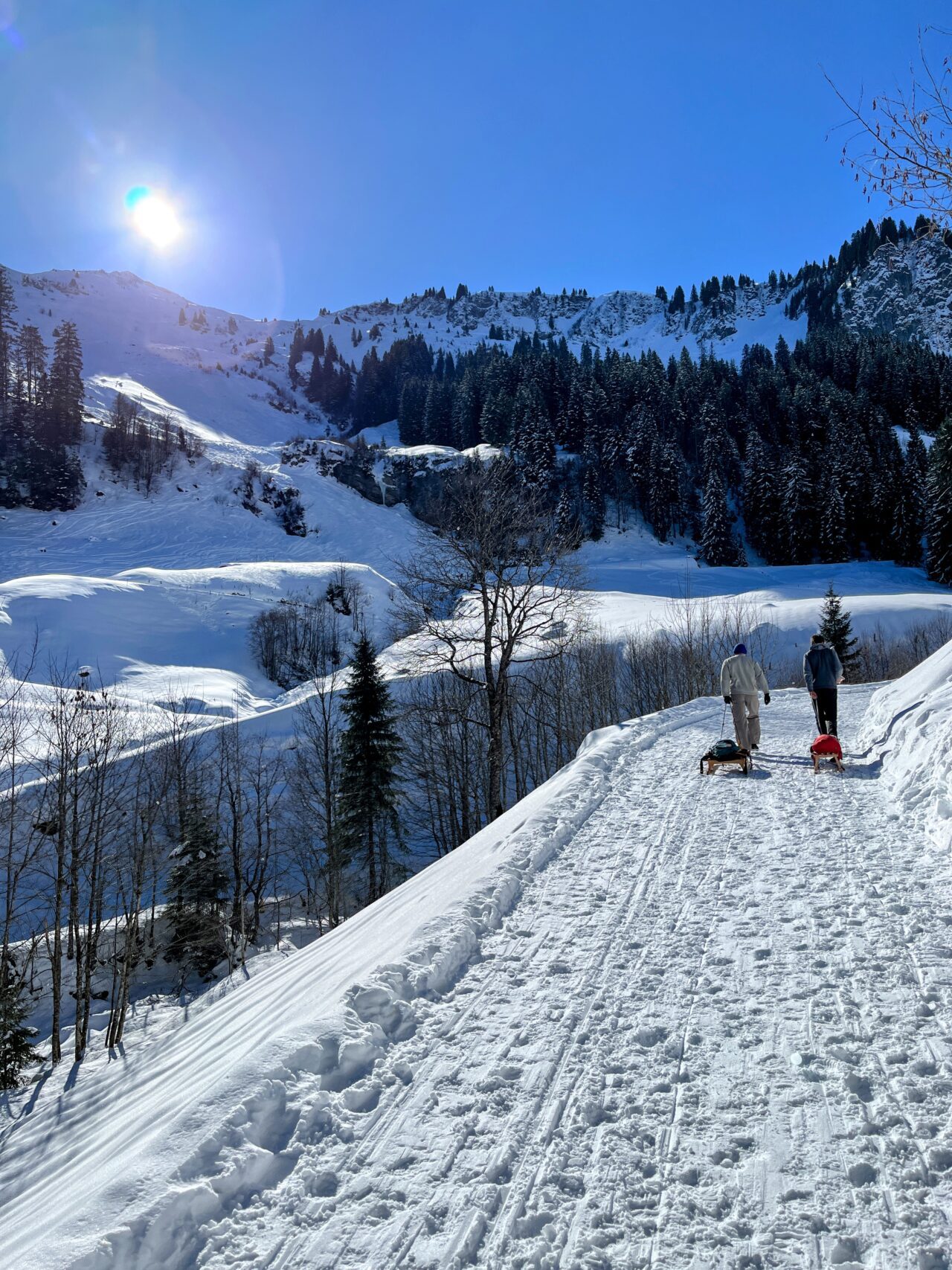 wanderung_druesberghütte__IMG_1309 (Kopie)