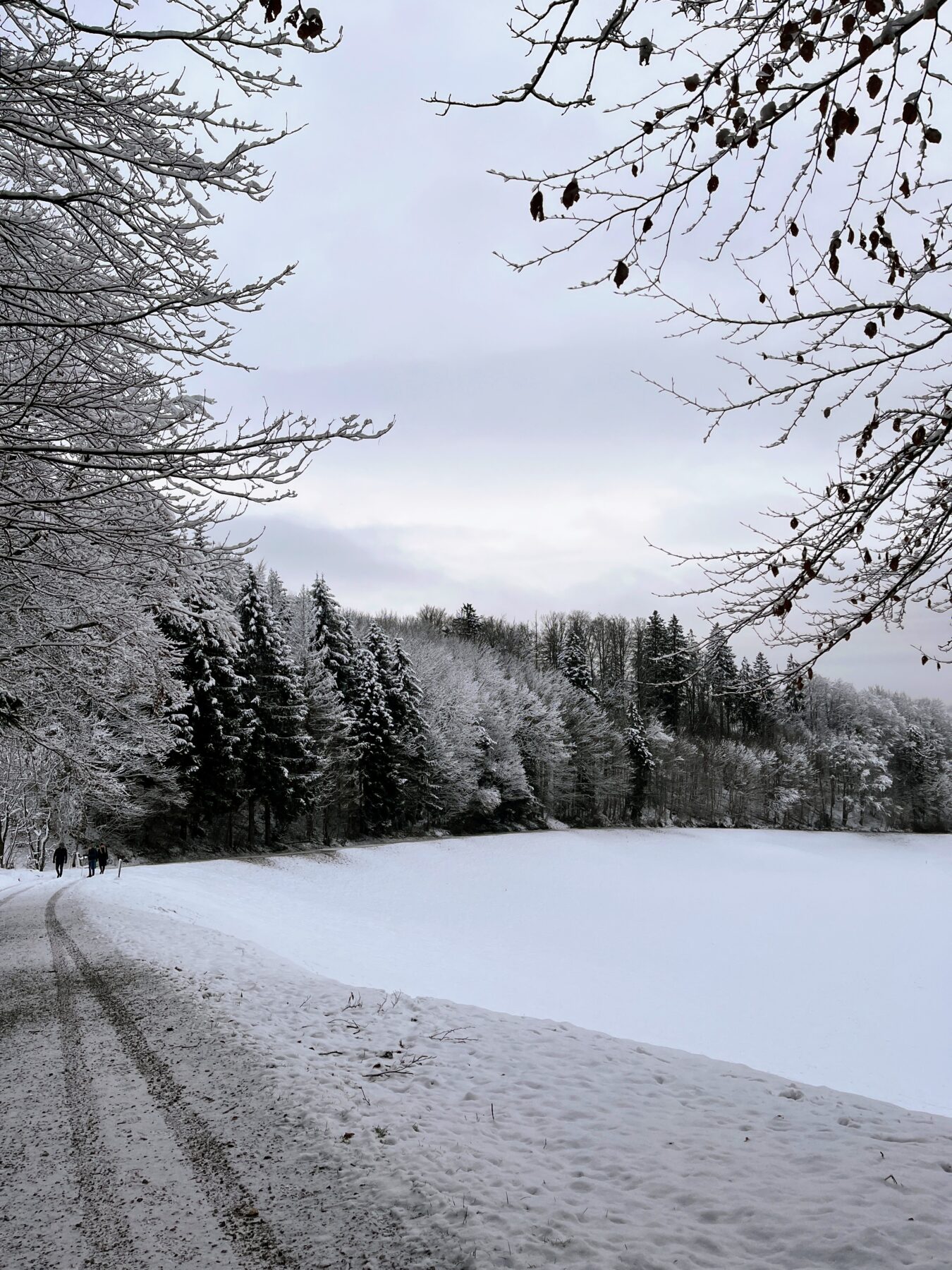 wanderung_albishorn_