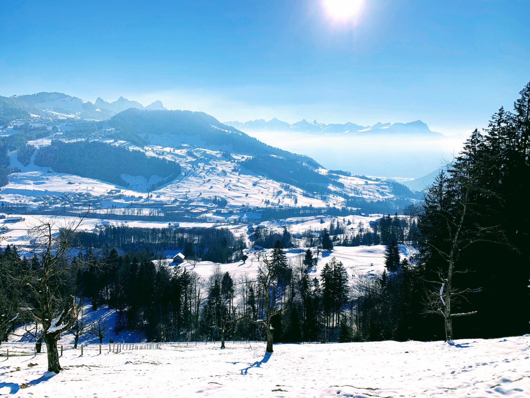 schneeschuhtour_halsegg_