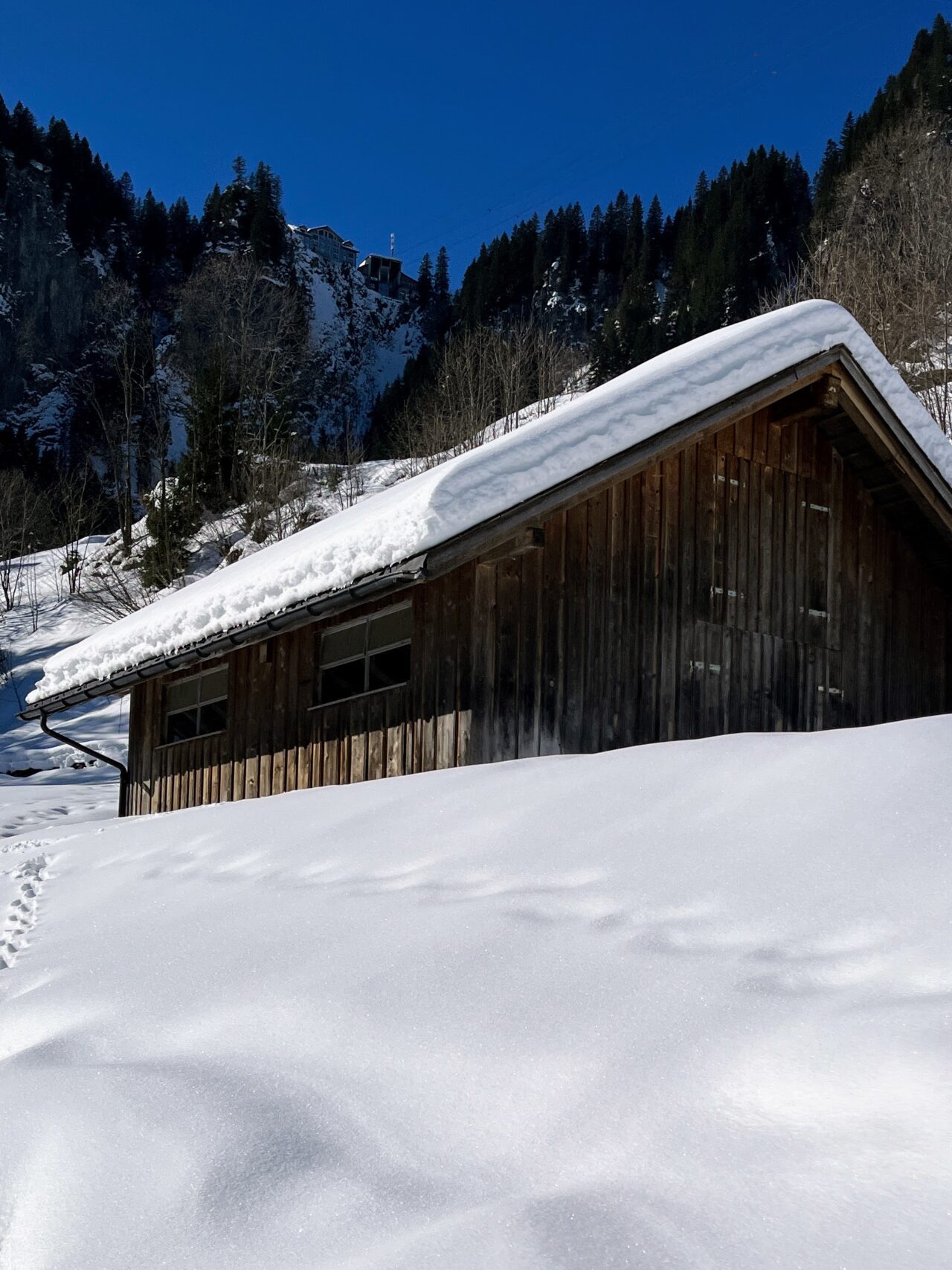 wanderung_druesberghütte__IMG_1313