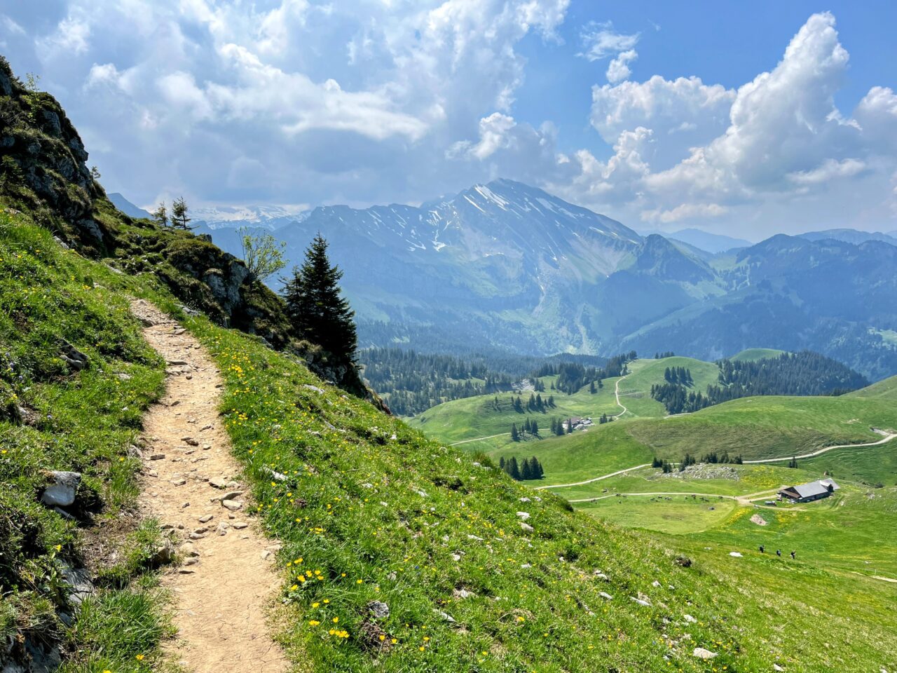 wanderung_niederbauen_chulm_