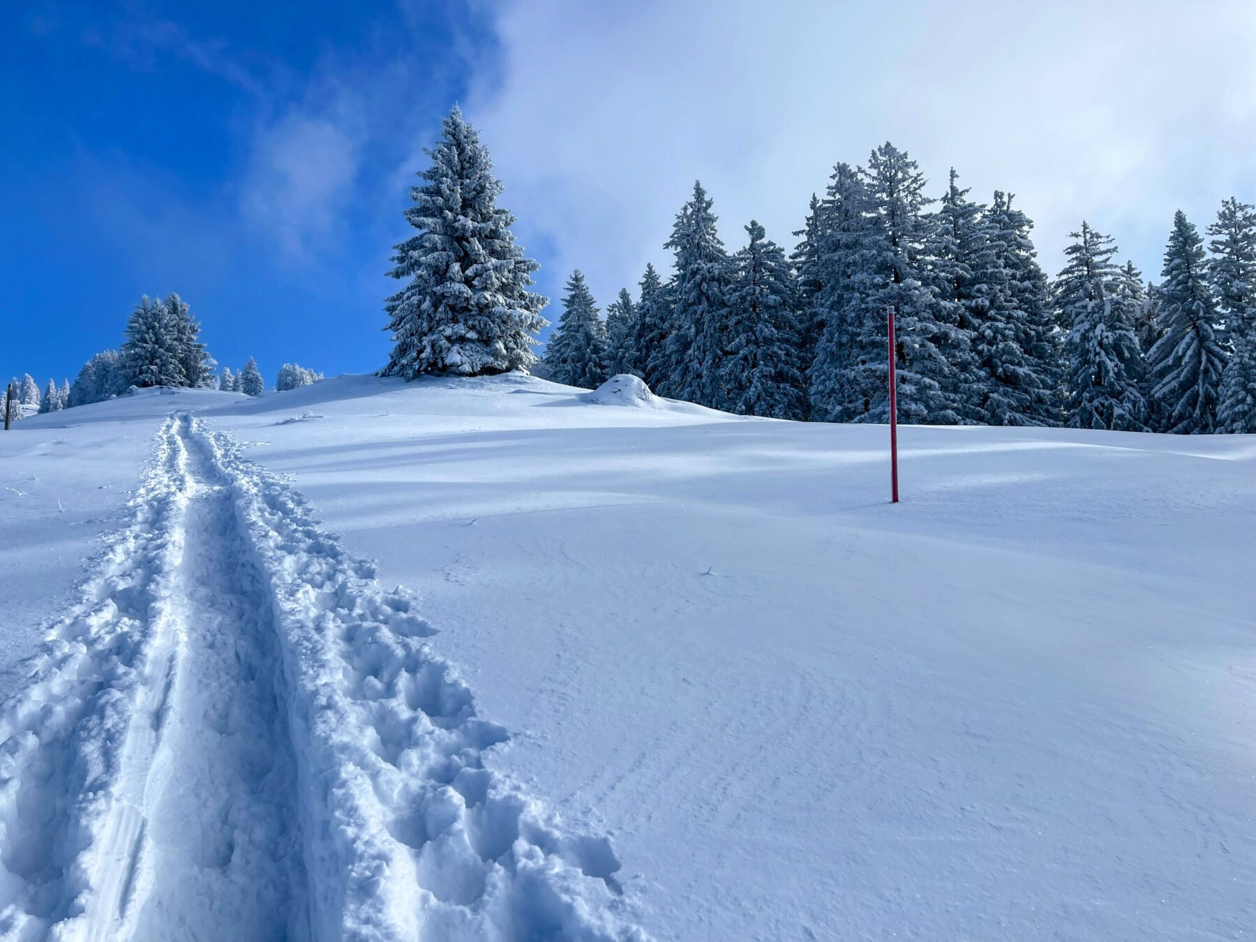 schneeschuhwanderung_rieden_tanzboden_