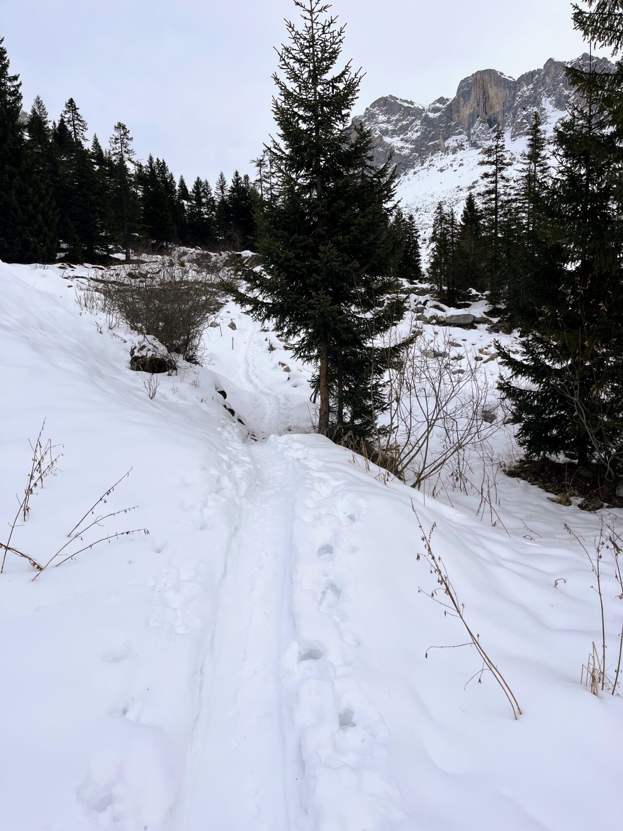 schneeschuhwandern-carschinahuette-_IMG_8052
