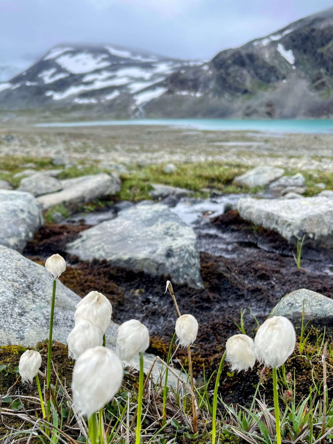 wanderung_jotunheimen_glitterheim_spiterstulen_