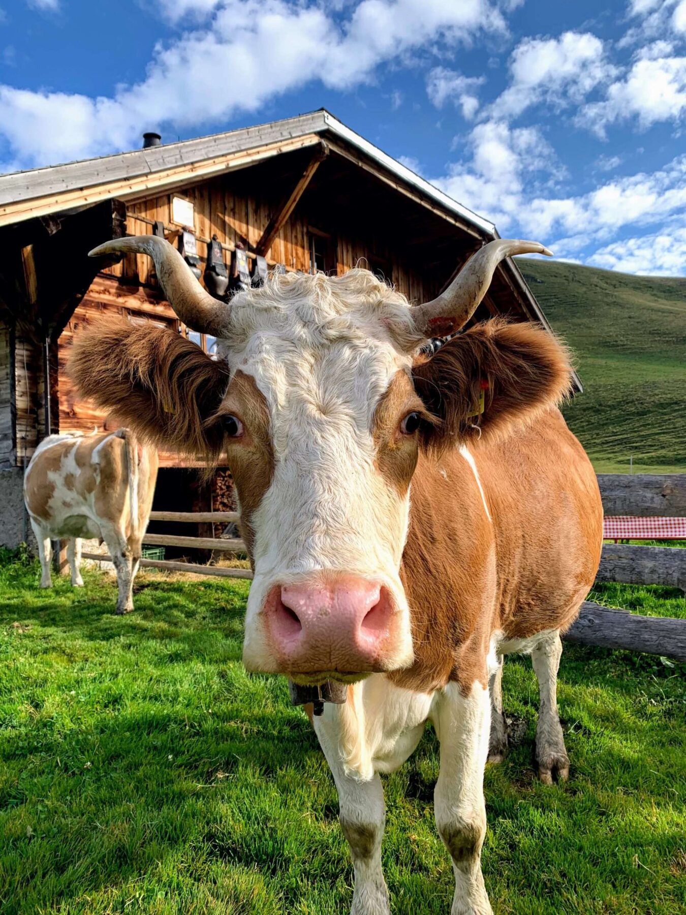 wanderung_tour_du_wildhorn_