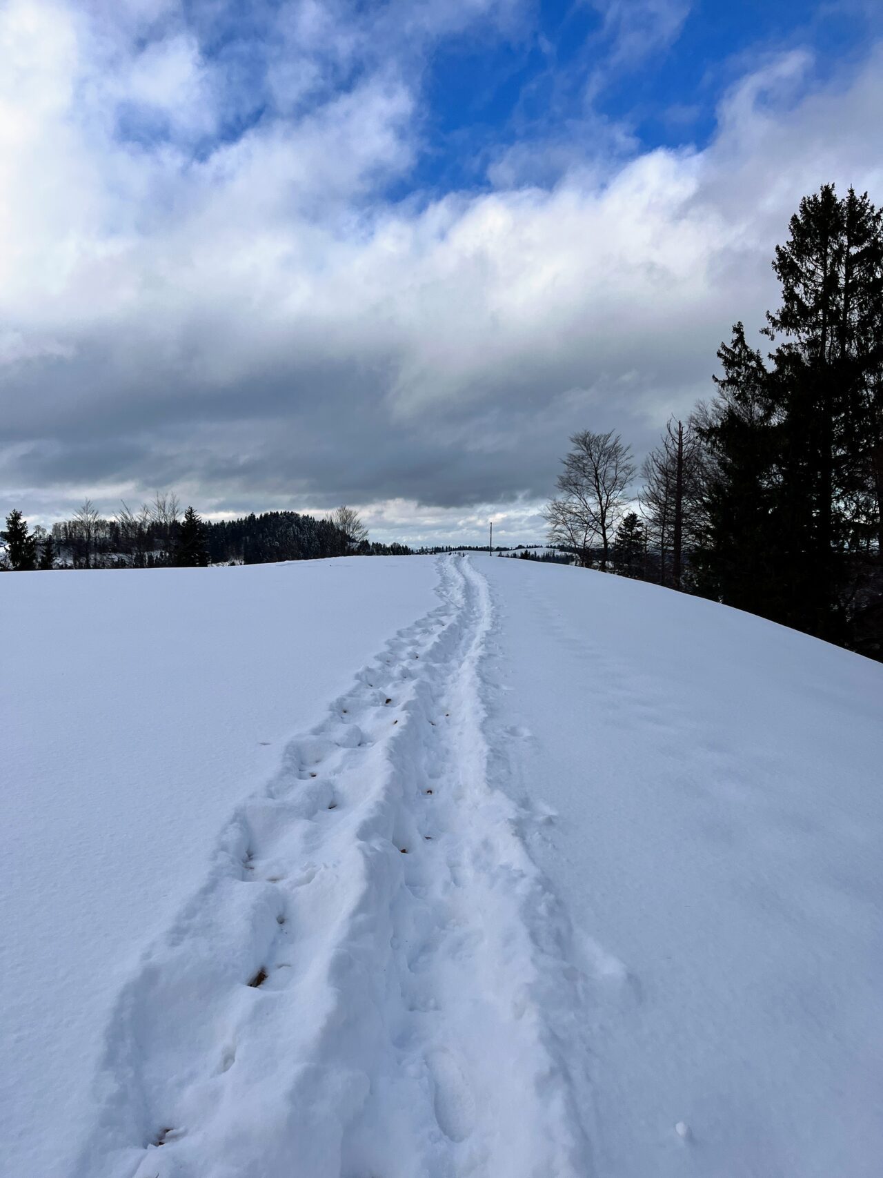 schneeschuhwanderung_schnebelhorn__IMG_2486