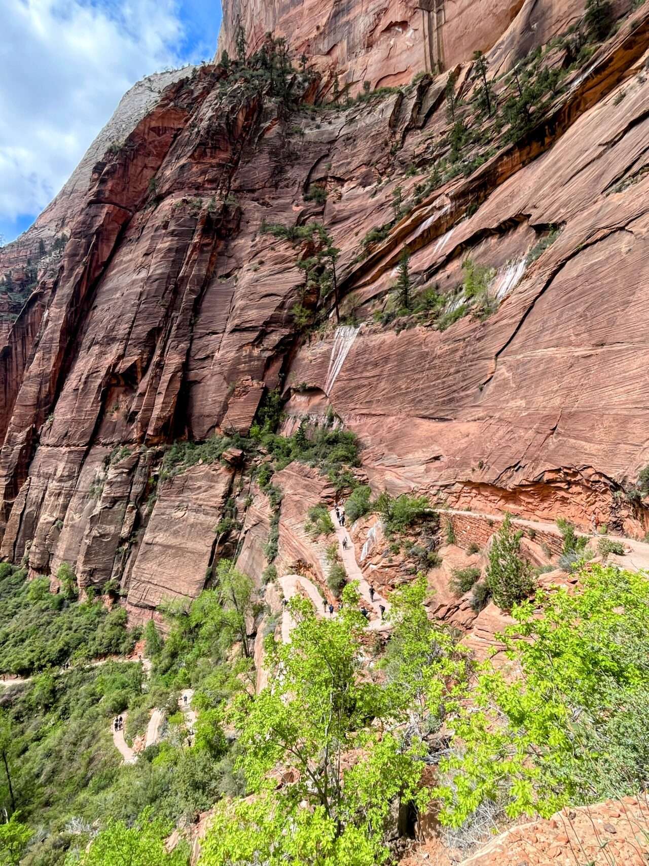 wanderung_zion_nationalpark_angels_landing_