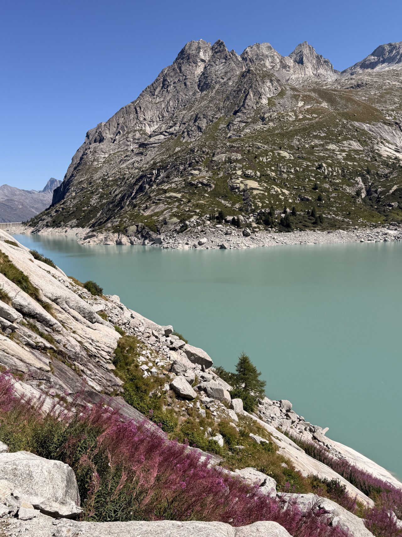 wanderung_sentiero_alpino_bregaglia_albignahuette_sciorahuette__IMG_0348