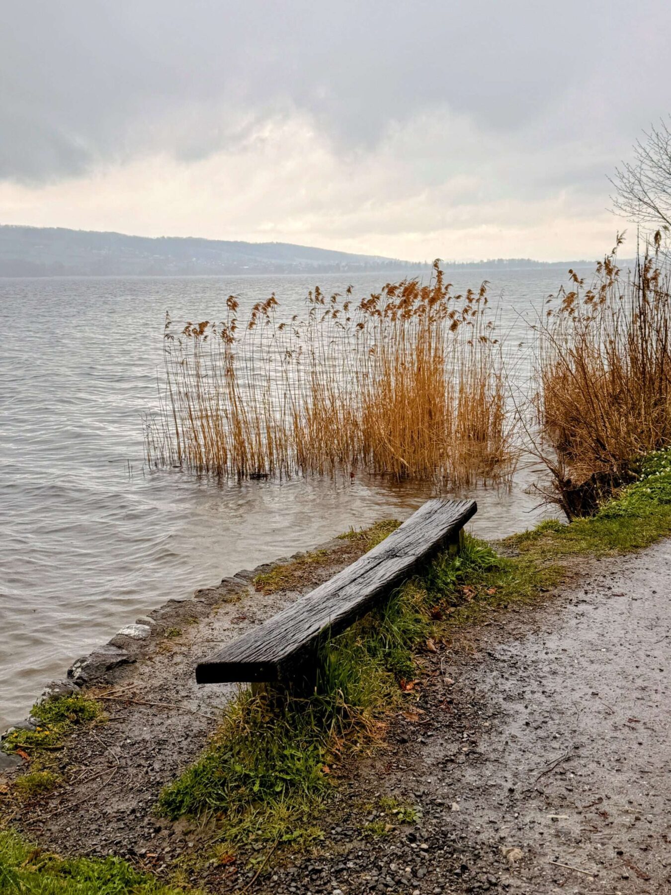 wanderung_umrundung_hallwiler_see_