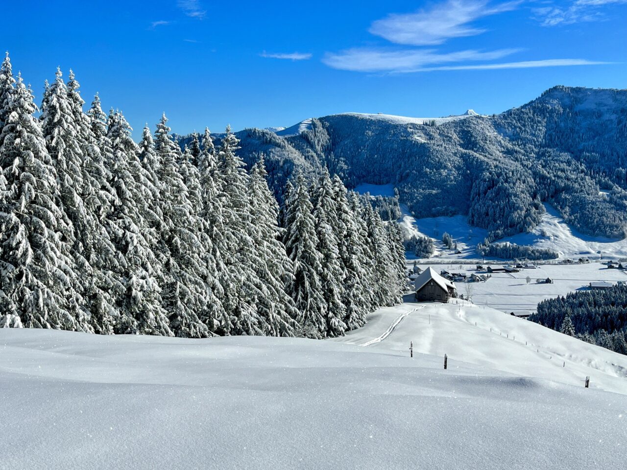 schneeschuhwanderung_rothenthurm_ahoren_biberbrugg__IMG_2363