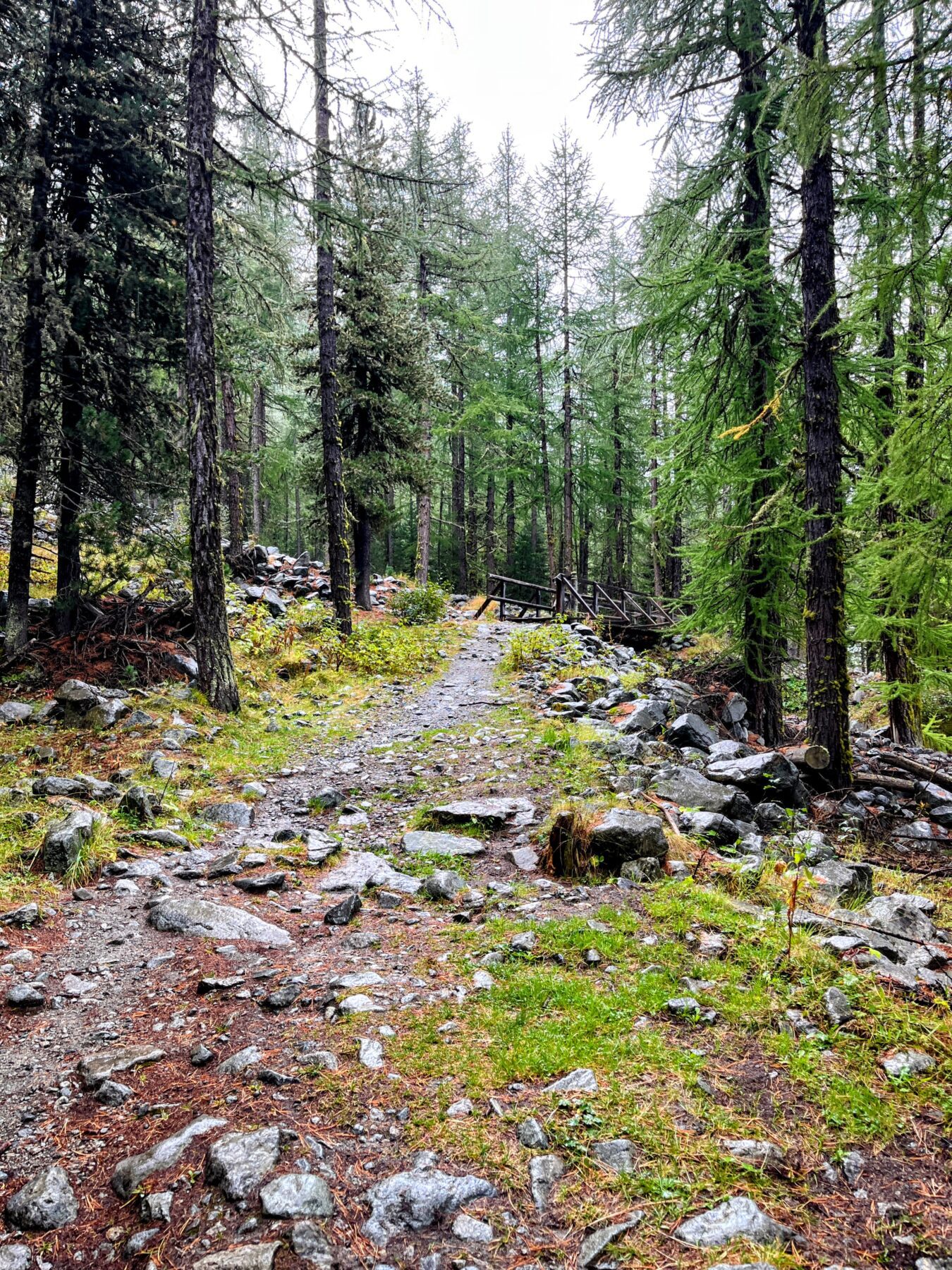 wanderung_bernina_trek_tag_4_murtel_val_roseg_