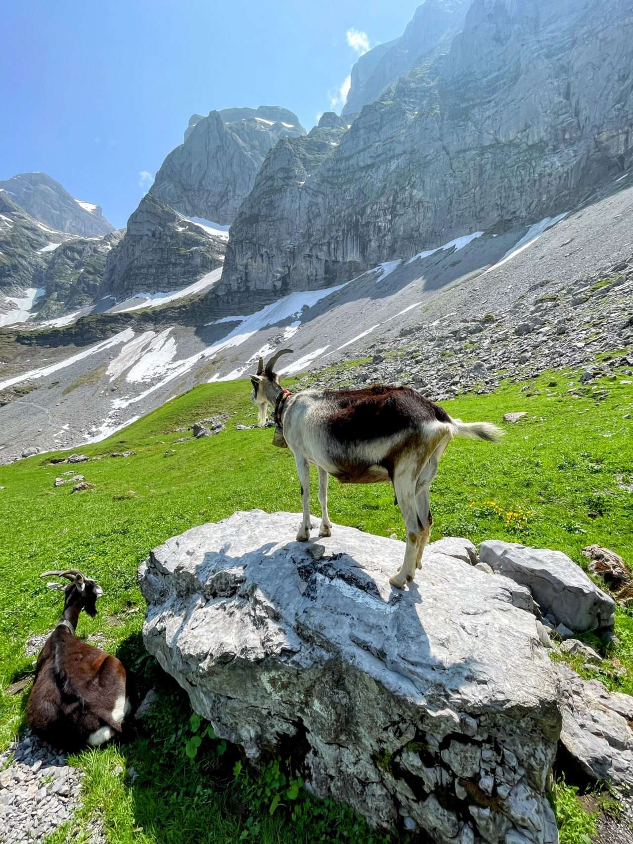 wanderung_engelberg_brunni_bannalp_walenpfad_