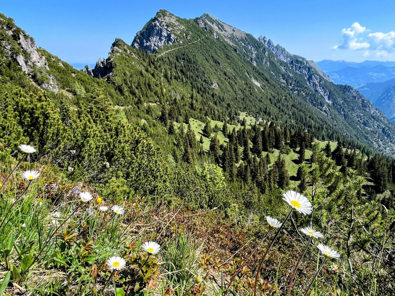 wanderung_fuerstensteig_drei_schwestern_