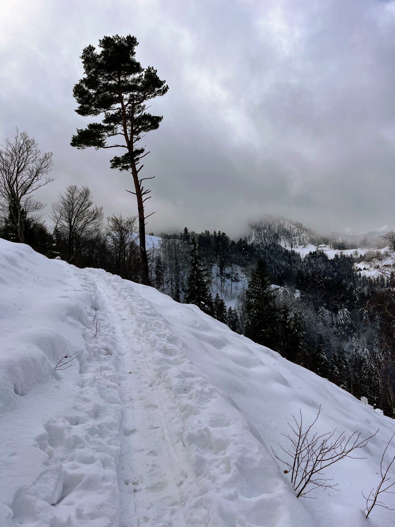 schneeschuhwanderung_schnebelhorn__IMG_2448