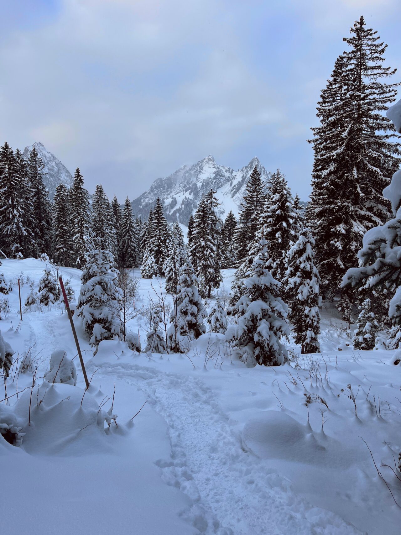 schneeschuhwanderung-furggelenstock-_IMG_9248 (Kopie)