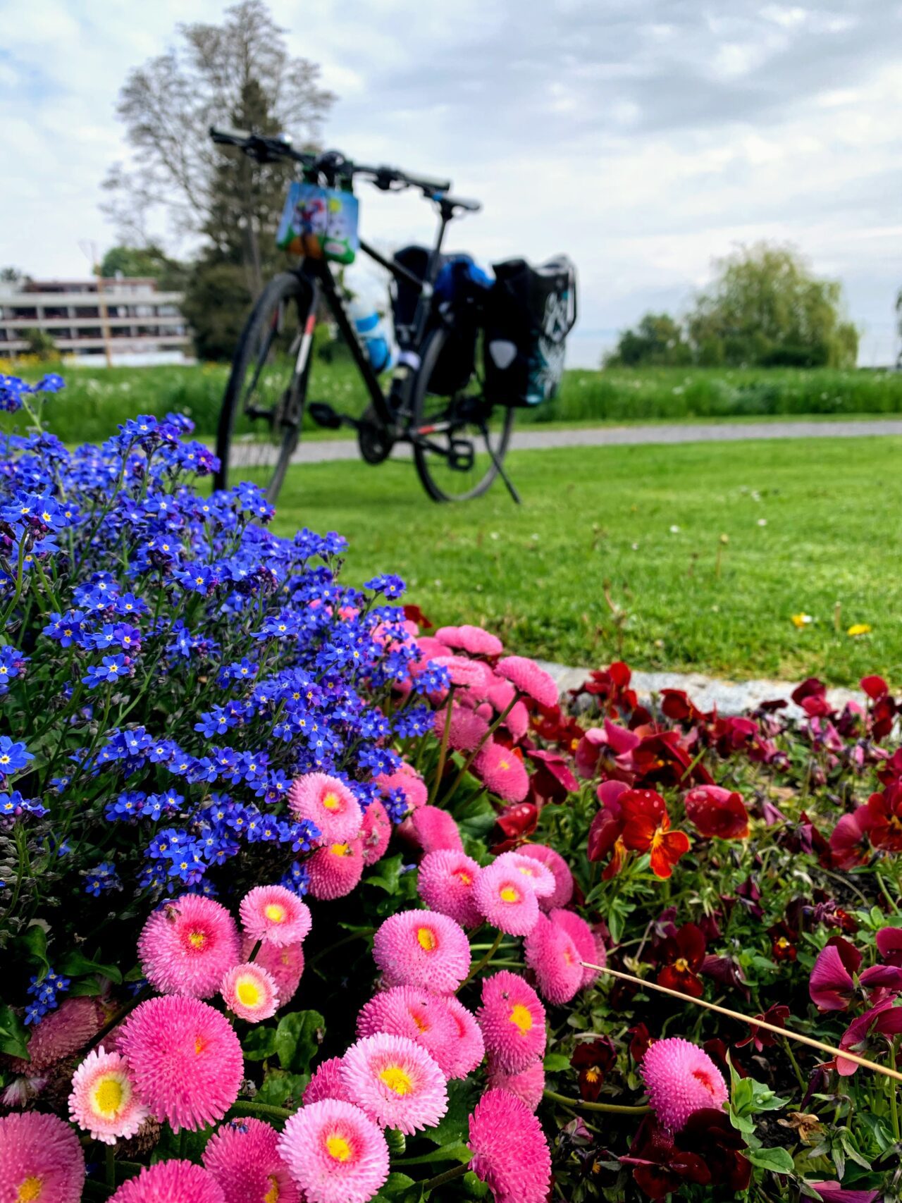 radtour_romanshorn_kreuzlingen__IMG_8436
