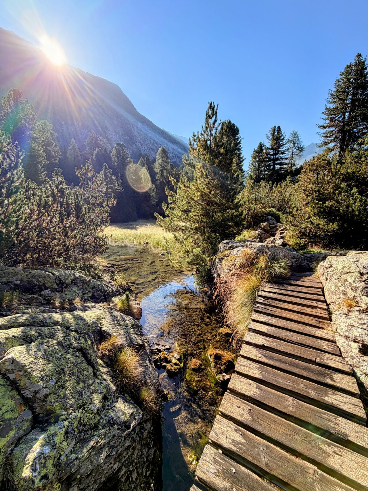 wanderung_sentiero_alpino_bregaglia_maloja_albignahuette__IMG_0116