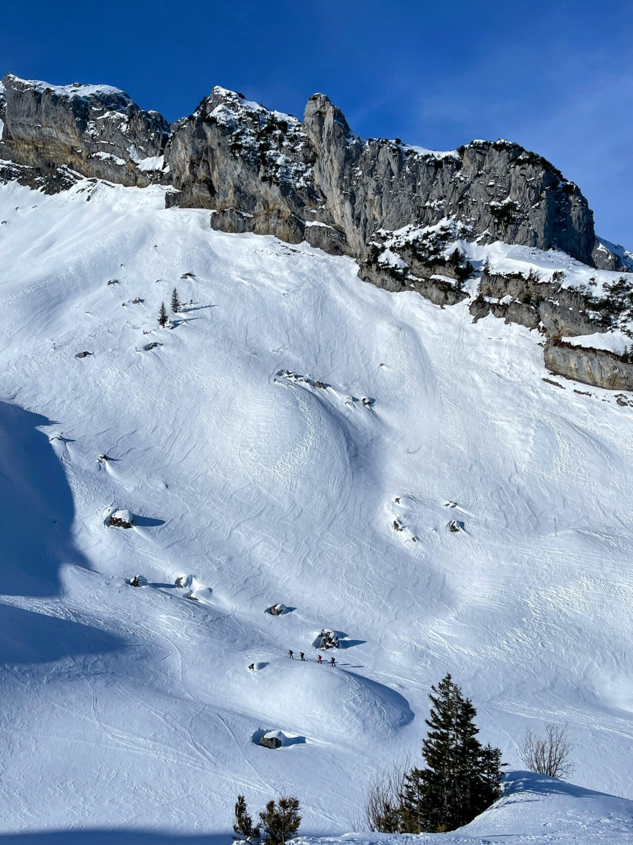 schneeschuhwanderung_lidernenhuette_hagelstock_