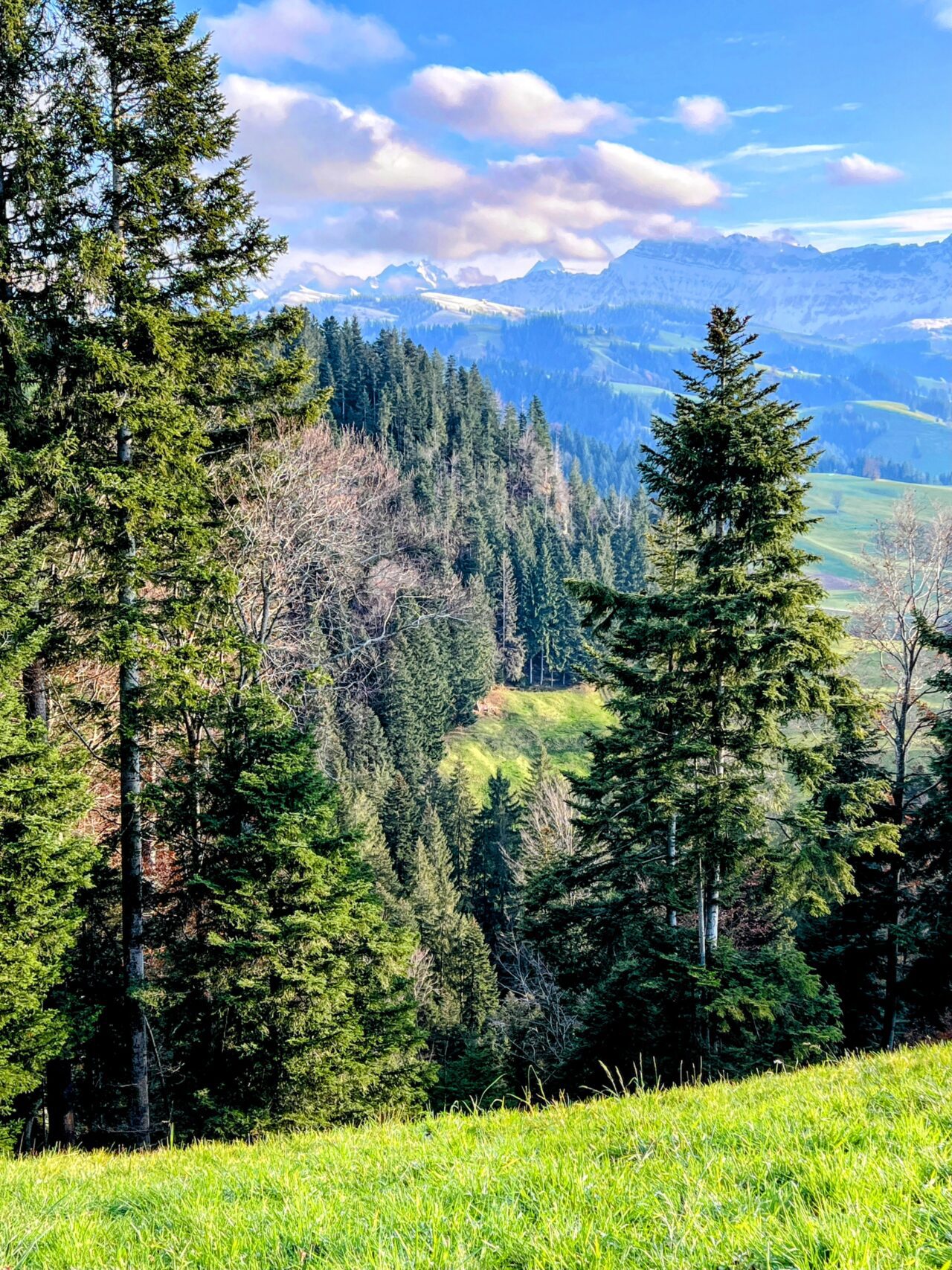 trans-swiss-trail-etappe-12-und-13-luetzelfluh-langnau-eggiswil-