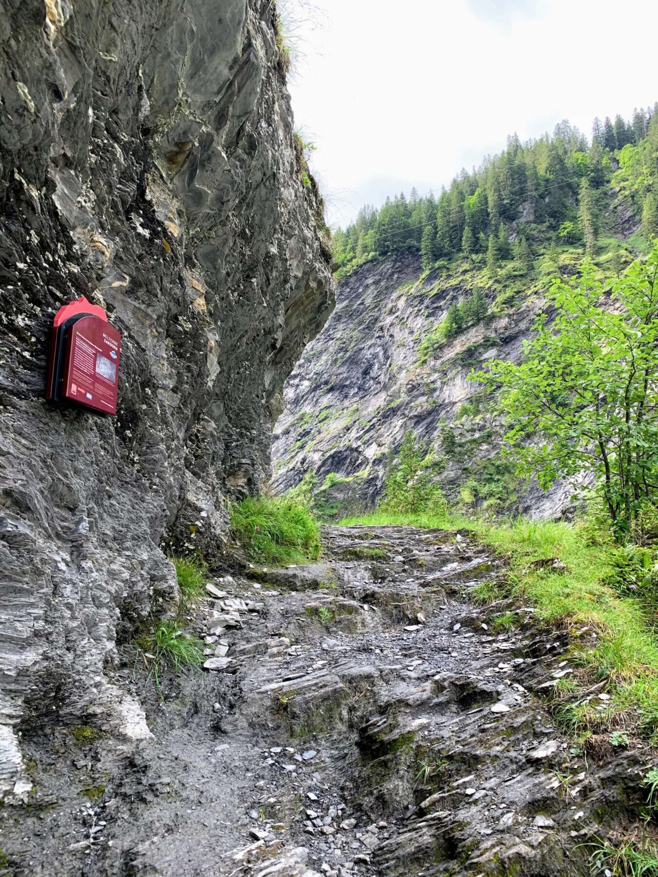 wanderung_martinsmadhuette_
