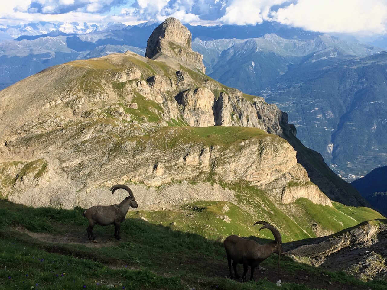 wanderung_tour_des_muverans_