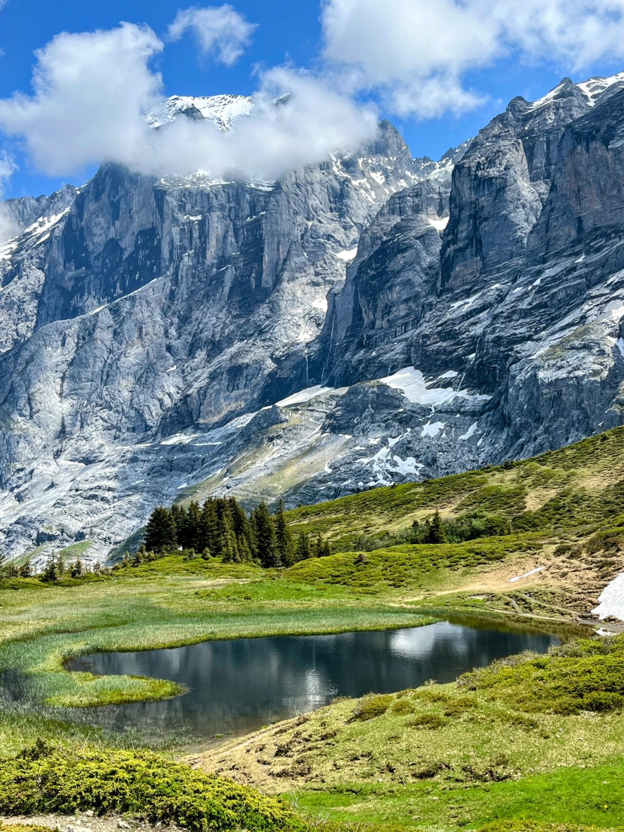 wanderung_via_alpina_meiringen_grindelwald_