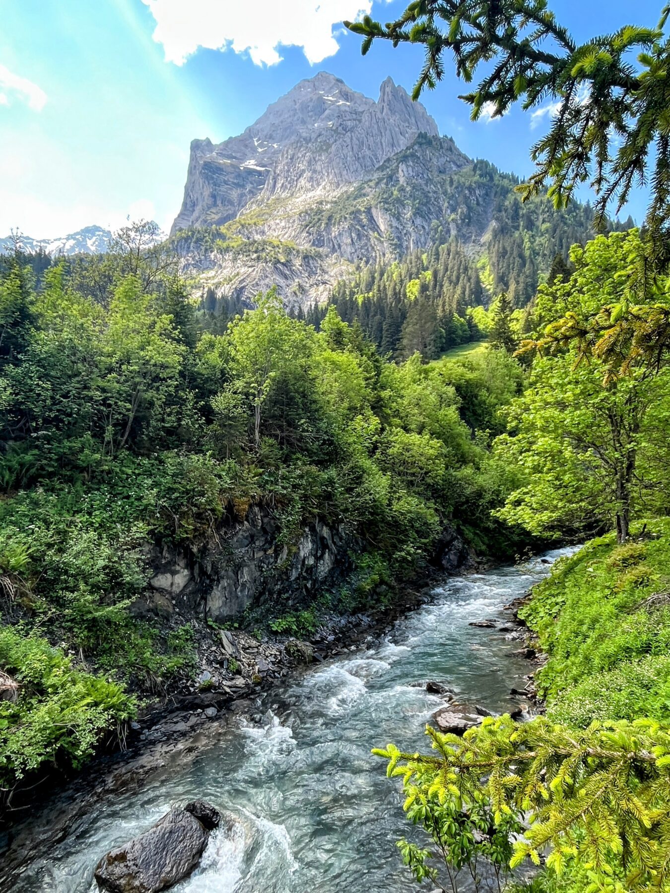 wanderung_via_alpina_meiringen_grindelwald_