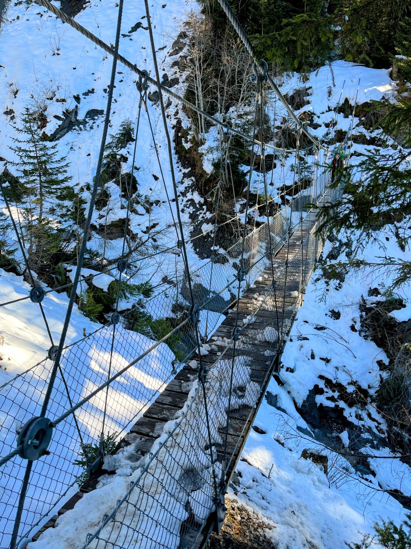 schneeschuhwandern_lantsch__IMG_0298 (Kopie)