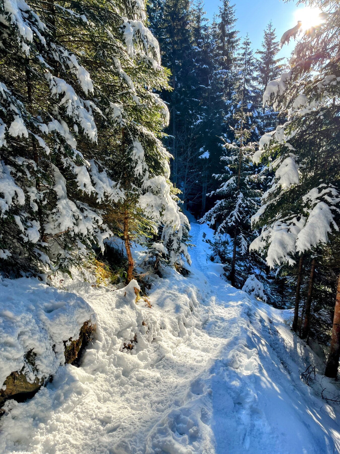schneeschuhwandern-jaenzi-