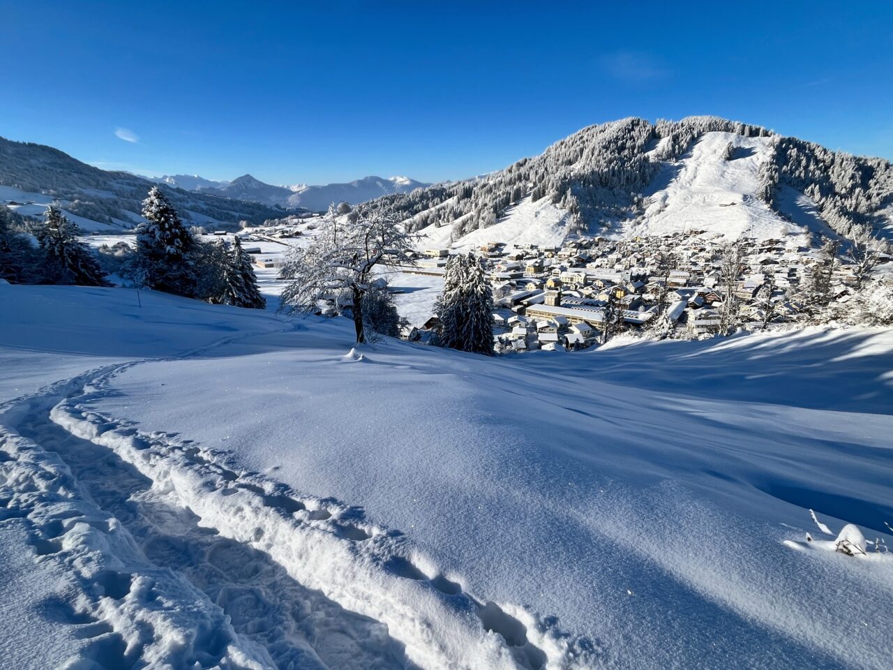 schneeschuhwanderung_rothenthurm_ahoren_biberbrugg__IMG_2336