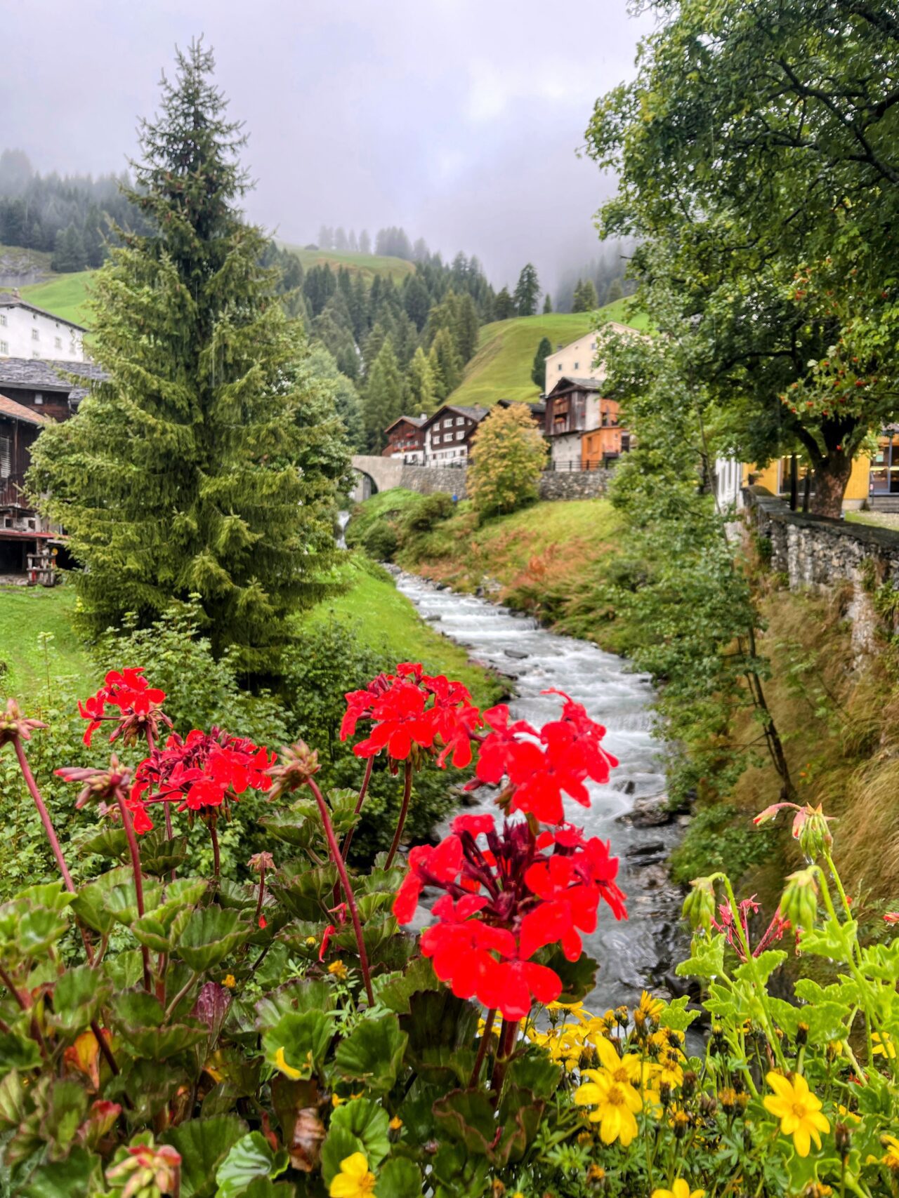 wanderung_alpenpässeweg_6_etappe_6_splügen_thalkirch_