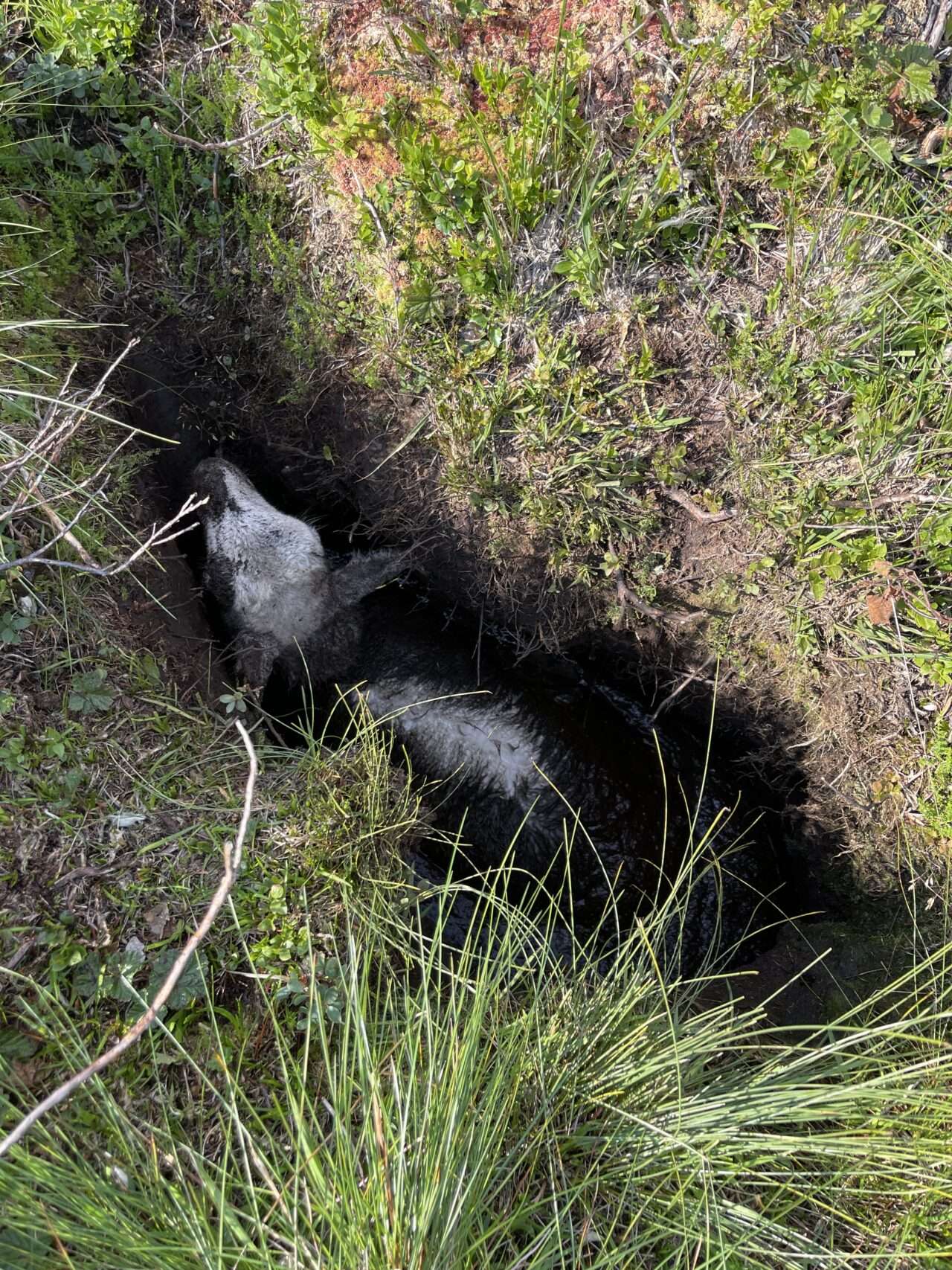 wanderung_eikeskog_blafjellenden_