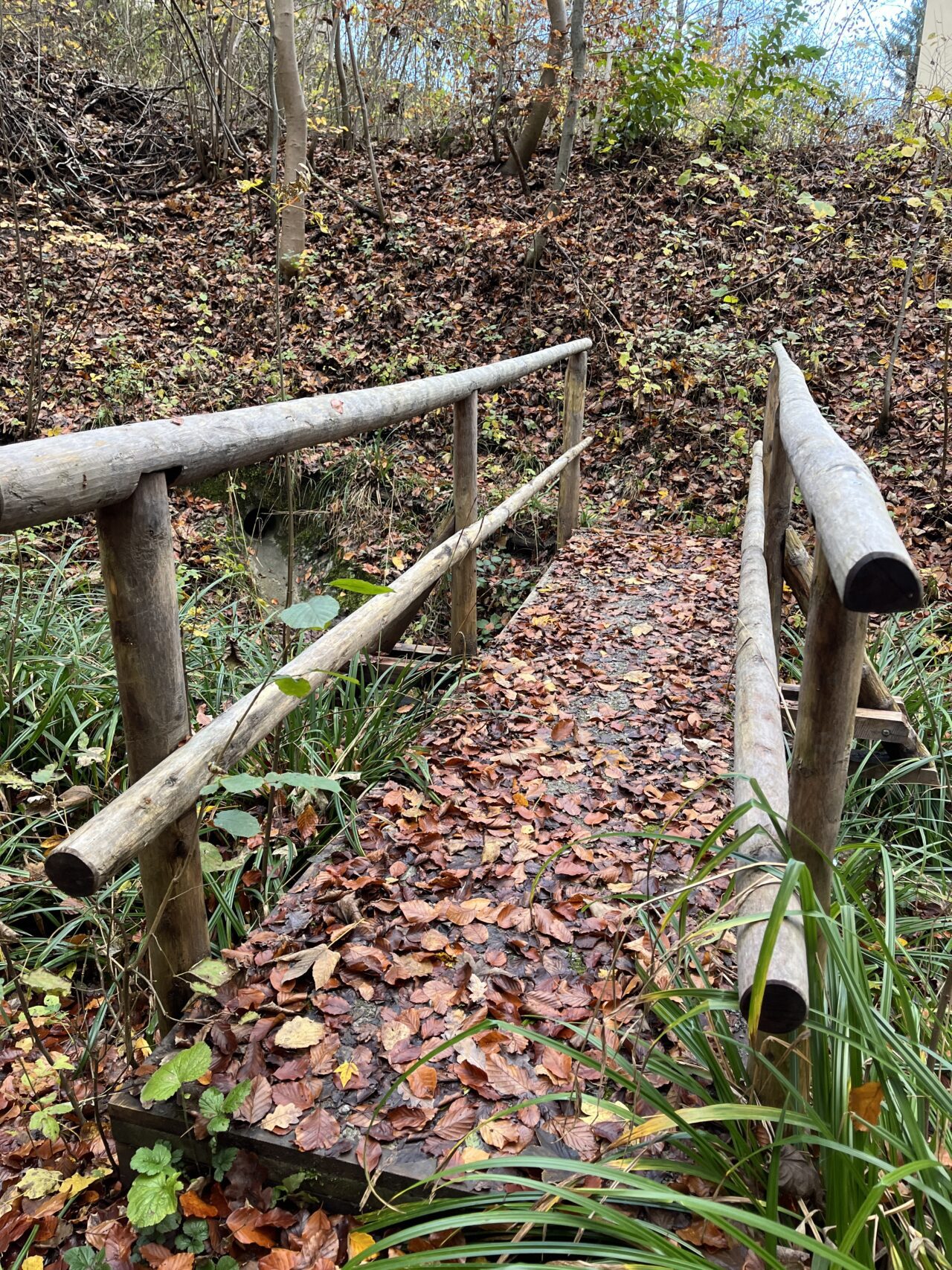 wanderung_teehuette_fallaetsche_
