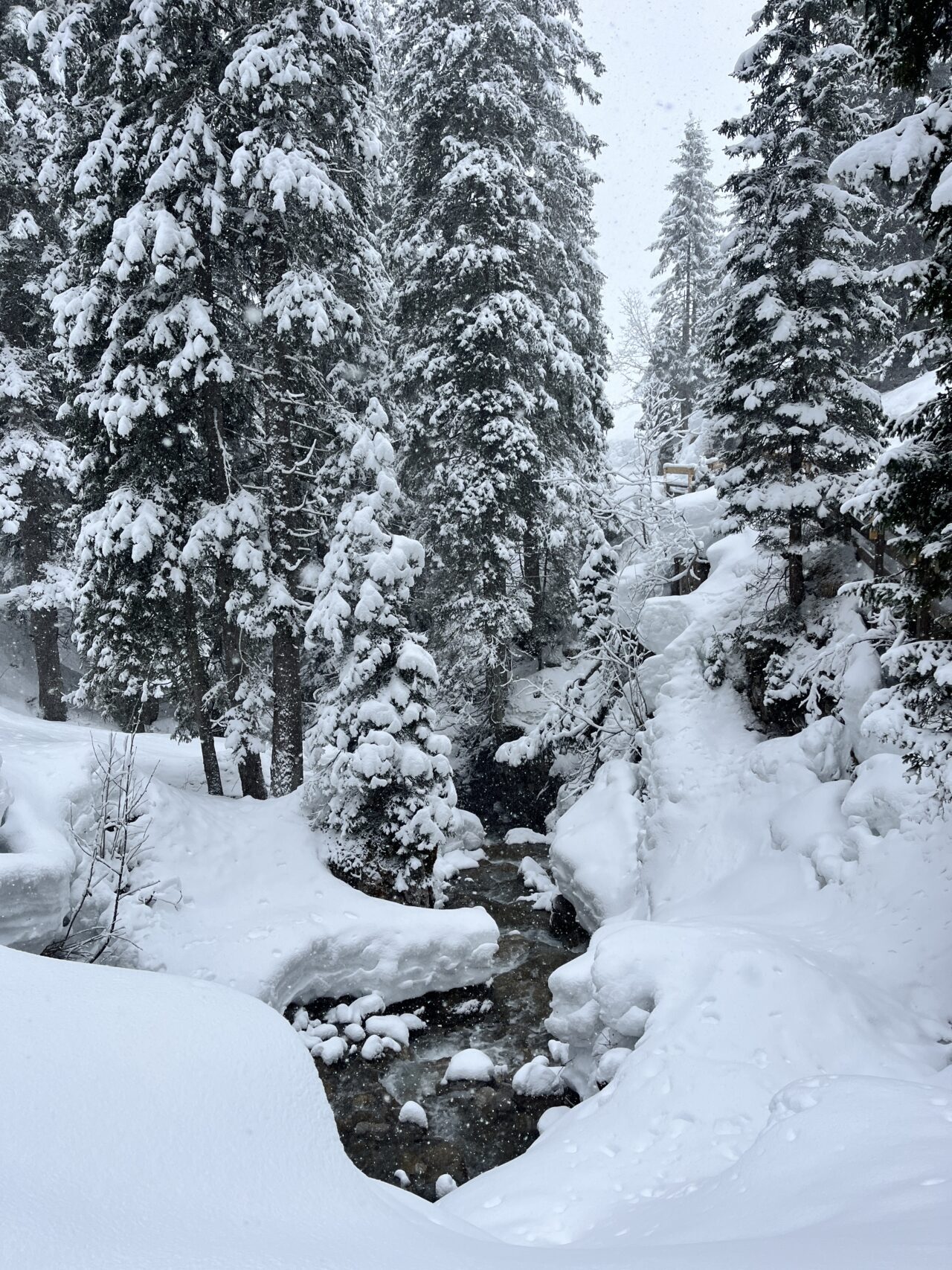 winterwanderung_lech_zug_vorderes_aelpele__IMG_4497