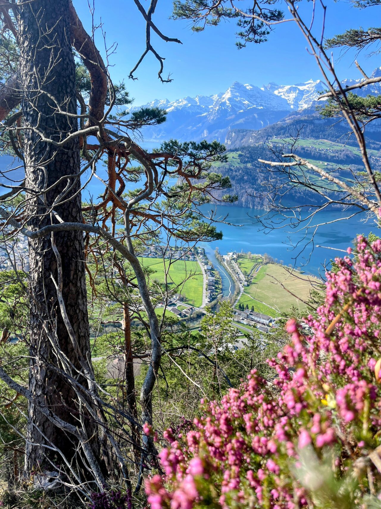 wanderung_urmiberg_stockflue_