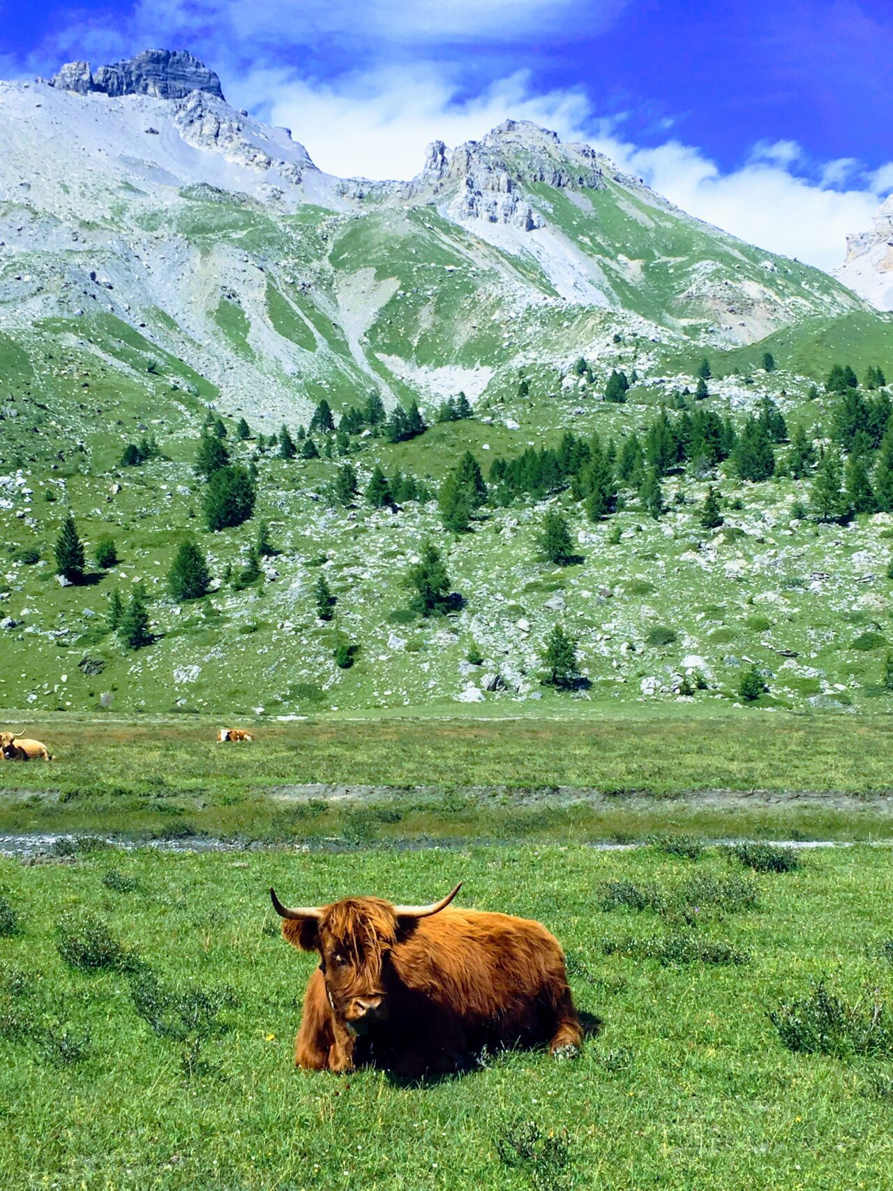 tour_du_dents_du_midi