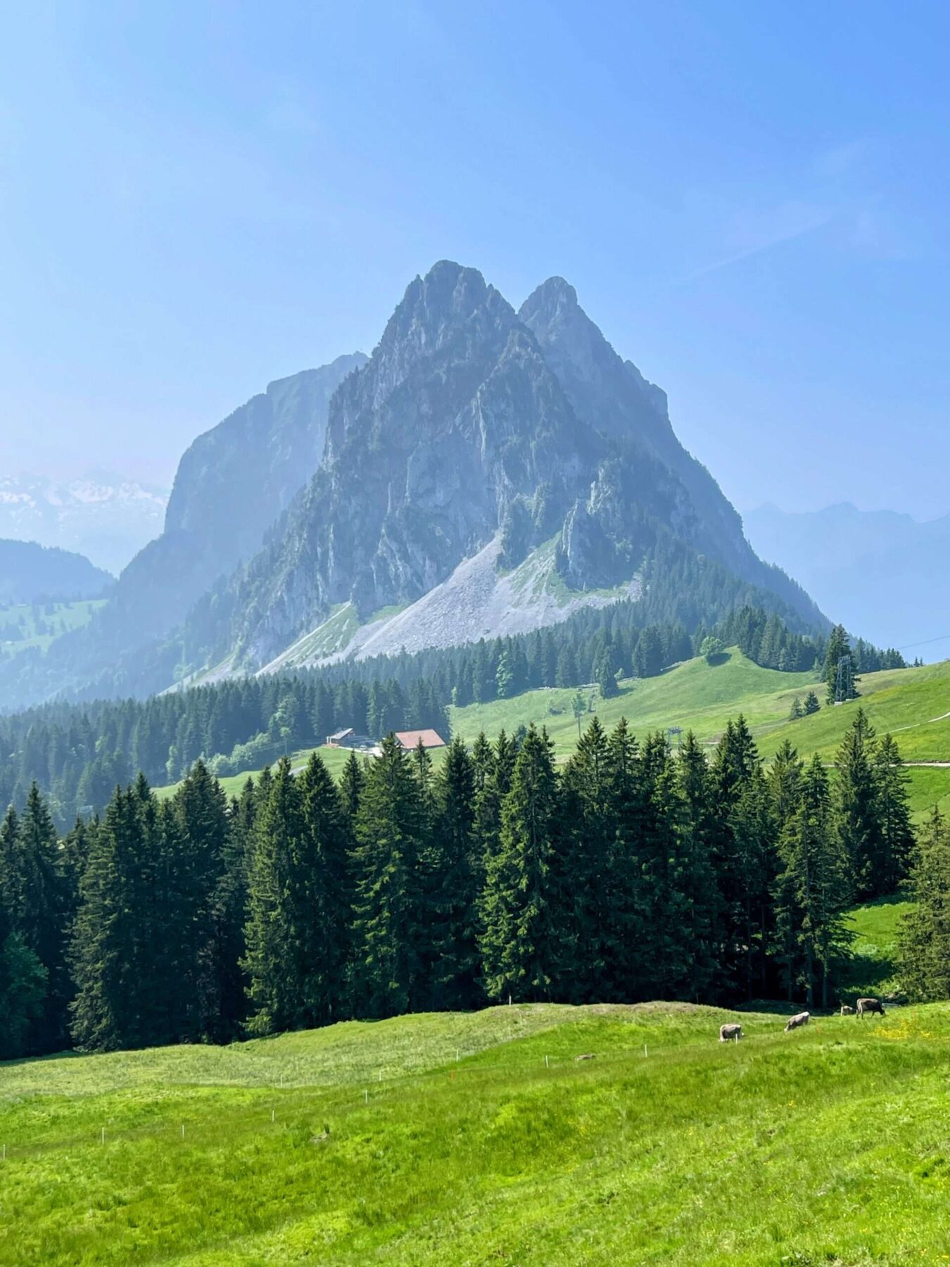 wanderung_brunni_hagenegg_mostelberg_sattel_